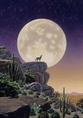Schim Schimmel, Desert Moon Song, ca. 101x71cm, 100 Farben, runde Steine, Vollbild