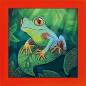 Preview: B-Ware, Diamond Painting Bild mit Bilderrahmen, Tree Frog / Frosch, runde Diamanten, ca. 16x16cm, Teilbild