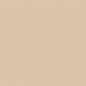 Preview: Ersatz-Steinchen, rund (round), Farbe 613, Drab Brown Very Light, Tüte mit 200 Stück