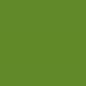 Preview: 905, Parrot Green Dark, 1 Package (200 Diamonds)