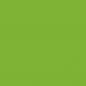 Preview: 906, Parrot Green Medium, 1 Package (200 Diamonds)