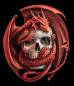 Preview: Anne Stokes, Skull Embrace, 60x70cm, 55 Farben, eckige Steine, Vollbild