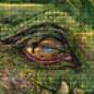 Preview: Auszug aus dem Bild - Beispiel - gepixelt