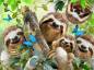 Preview: Howard Robinson, Sloth Selfie, 65x90cm, 60 Farben, eckige Steine, Vollbild