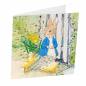 Preview: Grußkarte (Craft Buddy) Peter Rabbit and Chicks Painting-Set 18x18cm