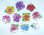 Preview: Blüten, als Kühlschrankmagnet nutzbar, Set mit 10 Stück zum Painten, ohne Toolset