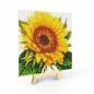 Preview: Diamond Painting picture stretched on a wooden stretcher, Sunflower, square diamonds, approx. 20x20cm, full picture