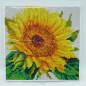 Preview: Diamond Painting picture stretched on a wooden stretcher, Sunflower, square diamonds, approx. 20x20cm, full picture