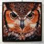 Preview: Diamond Painting Bild, Eulenkopf, runde Steinchen, 60x60cm, 35 Farben, Vollbild