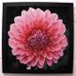 Preview: Diamond Painting Bild, Dahlie, 40x40cm, 50 Farben, eckige Steine, Vollbild