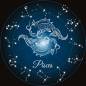 Preview: Sternzeichen Fische, Glow in the dark - Nachtleuchtend, runde Steine, 60x60cm,  45 Farben, Vollbild