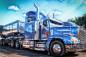 Preview: Diamond Painting Bild, Truck, runde Steinchen, 66x100cm, 50 Farben, Vollbild