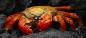 Preview: Diamond Painting Bild, Krabbe, runde Steinchen, 45x100cm, 50 Farben, Vollbild