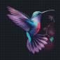 Preview: Diamond Painting Bild, Kolibri, eckige Steinchen, 50x50cm, 30 Farben, Vollbild
