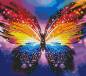 Preview: Diamond Painting Bild, Schmetterling, runde Steinchen, 39 Farben incl. 19 AB, 39x44cm, Vollbild