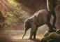 Preview: Diamond Painting Bild, Der kleine Elefant, eckige Steinchen, 70x100cm, 50 Farben, Vollbild
