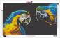 Preview: Diamond Painting Bild, Aras, eckige Steinchen, 50x83cm, 51 Farben, Vollbild