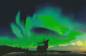Preview: Diamond Painting Bild, Nordlichter, Nachtleuchtend, eckige Steinchen, 65x100cm, 71 Farben inkl. 7 Glow, Vollbild