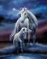 Preview: Anne Stokes, Eternal Bond, 60x75cm, 50 Farben inkl. 1 AB, eckige Steine, Vollbild