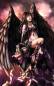 Preview: DrakeTurtle, Dark Angel, runde Steine, ca. 60x95cm, 55 Farben, Vollbild