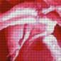 Preview: Diamond Painting Bild, Tulpe, gefüllt, runde Steinchen, ca. 67x55cm, 85 Farben