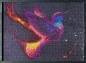 Preview: Diamond Painting Bild, Kolibri, runde Strass-Steinchen, 50x70cm, 49 Farben, Vollbild