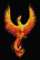 Preview: Anne Stokes, Phoenix, 60x90cm, 30 Farben, eckige Strass-Steine, Vollbild