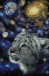Preview: Schim Schimmel, One With The Universe, 90x59cm, 150 Colours, Square Stones, Full Image