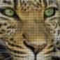 Preview: Diamond Painting Bild, Leopard, eckige Steinchen, ca. 70x48cm, 100 Farben