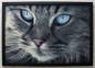 Preview: Diamond Painting Bild, Katzenportrait, eckige Steinchen, ca. 80x55cm, 80 Farben, Vollbild