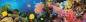 Preview: Diamond Painting Bild, bunte Unterwasserwelt, runde Steinchen, 50x200cm, 100 Farben, Vollbild