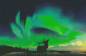 Preview: Diamond Painting Bild, Nordlichter, nachtleuchtend, runde Steinchen, 65x100cm, 71 Farben inkl. 7 Glow, Vollbild