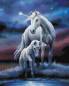 Preview: Anne Stokes, Eternal Bond, 60x75cm, 50 Farben inkl. 1 AB, runde Steine, Vollbild
