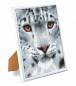 Preview: Diamond Painting Bild mit weißem Bilderrahmen, Schneeleopard, runde Diamanten, ca. 21x25cm, Vollbild
