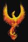 Preview: Anne Stokes, Phoenix, 60x90cm, 30 Farben, runde Strass-Steine, Vollbild