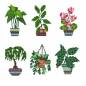 Preview: Diamond Painting Tiny-Bilder, Pflanzen, eckige Steine, 6 Bilder á 12x17cm, 19 Farben, Teilbild