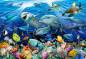 Preview: Howard Robinson, Deep on the Reef, 70x100cm, 80 colours, round stones, full image