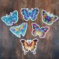 Preview: Diamond Painting Magnete, Schmetterling, Set mit 6 Stück zum Painten