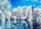 Preview: Diamond Painting picture, winter at the lake, round stones, approx. 100x75cm, 50 colours, full picture