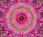 Preview: Diamond Painting Bild, Pinkes Kaleidoskop, eckige Steinchen, 90x75cm, 50 Farben, Vollbild