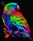 Preview: Diamond Painting picture, colourful parrot, round rhinestone diamonds, 60x70cm, 50 colours, full size