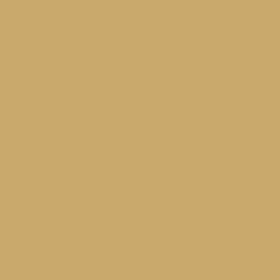 Ersatz-Steinchen, rund (round), Farbe 833, Golden Olive Light, Tüte mit 200 Stück