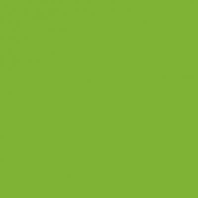 Ersatz-Steinchen, rund (round), Farbe 906, Parrot Green Medium, Tüte mit 200 Stück