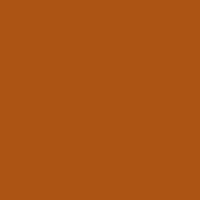 Ersatz-Steinchen, rund (round), Farbe 920, Copper Medium, Tüte mit 200 Stück