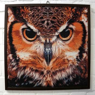 Diamond Painting Bild, Eulenkopf, runde Steinchen, 60x60cm, 35 Farben, Vollbild