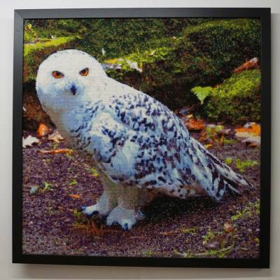 Diamond Painting Bild, Schnee-Eule, 50 Farben, eckige Steinchen, 70x70cm, Vollbild
