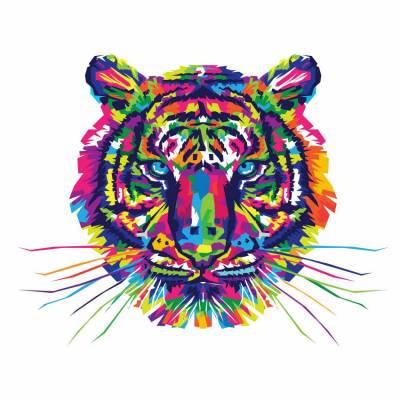 Diamond Painting picture, colorful tiger, square stones, 30x40cm, 25 colours, full picture