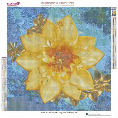 Diamond Painting Bild, Sternblüte, eckige Steine, 60x60cm, 48 Farben, Vollbild