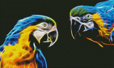 Diamond Painting picture, Macaws, square stones, 50x83cm, 51 colours, full picture