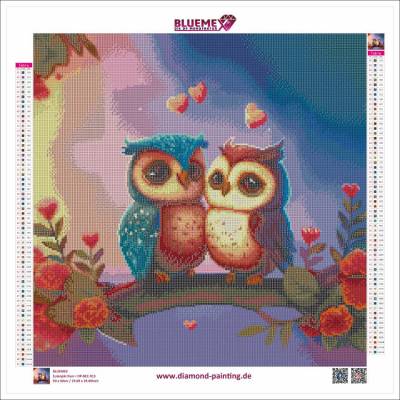Diamond Painting Bild, Eulenpaar, eckige Steinchen, 50x50cm, 61 Farben inkl. 3 AB, Vollbild